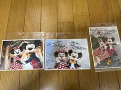 ミッキーミニー写真3点セット