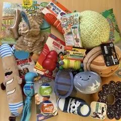 犬用おもちゃ まとめ売り コング スモールウァバ ナーフドッグ 知育