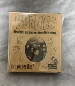 NewJeans BUNNIES CAMP PHOTO CARD BINDER