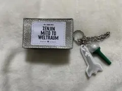 Mrs. GREEN APPLE ポーチ