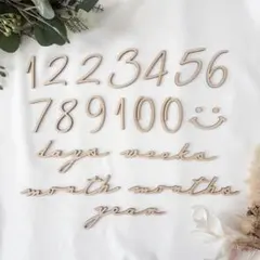 木製 レターバナー 月齢フォト 21点セット / Aタイプ