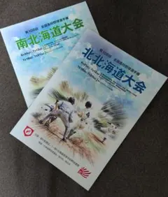 第108回 高校野球 北北海道 /南北海道大会2冊セット パンフレットのサムネイル