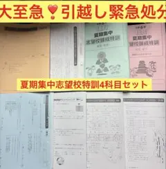 SAPIX 6年 桜蔭1コース 夏期志 四科 2023年受験 欠番なし - メルカリ