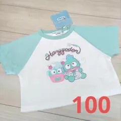 Sanrio　ハンギョドン　ヒヤロン　接触冷感　半袖Tシャツ　100サイズ　新品のサムネイル