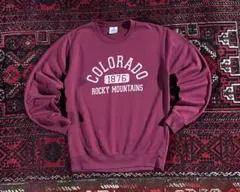 USA古着 カレッジロゴ スウェット トレーナー バーガンディ S