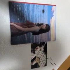 Item thumbnail for item 4a5e6b82-6c31-4f45-bd02-054b79d1cf04