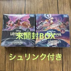 ディズニー ロルカナ フラッドボーンの渾沌 2BOX 未開封 シュリンク付h