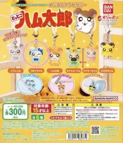 とっとこハム太郎 めじるしアクセサリー⁑リボンちゃん⁑未開封品 ☺︎