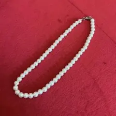 Item thumbnail for item b2119bc2-9eee-4ae3-99bf-eae25618738f