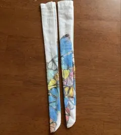 Item thumbnail for item 26b18e5b-60c0-4f7d-8635-a33f71402f0b