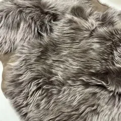 Item thumbnail for item 743dd360-77bb-47a7-bb2c-22da2f597b89