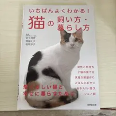 いちばんよくわかる！猫の飼い方・暮らし方