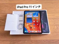 iPad Pro 11インチ（第1世代）スペースグレイ 64B Wi-Fiモデル