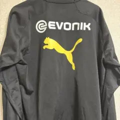 Item thumbnail for item 649ff346-805a-4734-9420-0e09875bee04