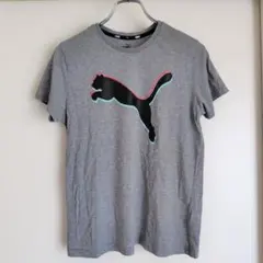 プーマ PUMA 半袖Tシャツ スポーツウェア 160