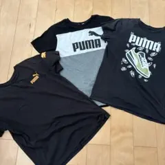 PUMA Tシャツ 3枚セット　160