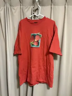 stussy Tシャツ Lサイズのサムネイル
