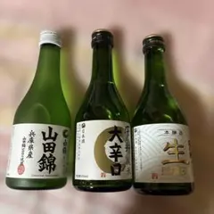 山田錦 純米酒 大辛口 生酒 300mlのサムネイル