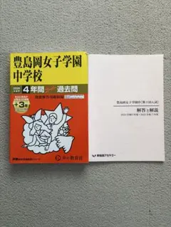 ㉓　 希少品　貴重❣️新品　NN桜蔭　算数WORK 書き込みなし 早稲田アカデミー NN桜蔭 最新版NN 【公式通販】