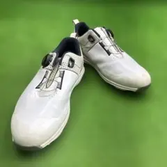 ★新品未使用★MIZUNO ゴルフシューズ 25.0 EE ブラック 2025年最新】ミズノ ゴルフシューズ 25の人気アイテム - メルカリ