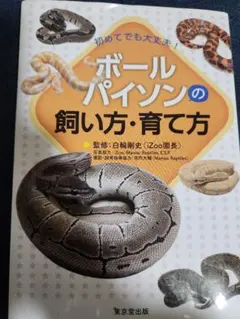 ボールパイソンの飼い方・育て方