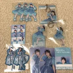 真中まなちゃん　アクリルスタンド4点セット フルーツジッパー 真中まな バレンタイン アクスタ アクリル
