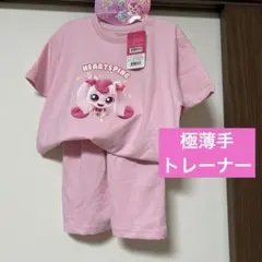 ティニピン　セットアップ