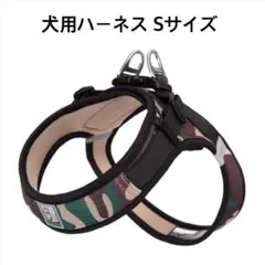 Item thumbnail for item b42c7112-931a-4f5a-bd4d-370bae9e7c99