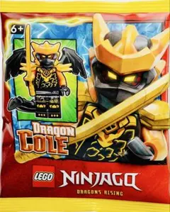 レゴ L0002206 ニンジャゴー 限定 ドラゴンコール 紙パック