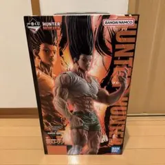 未開封 一番くじ HUNTER×HUNTERラストワン賞 ゴン～成長ver.～
