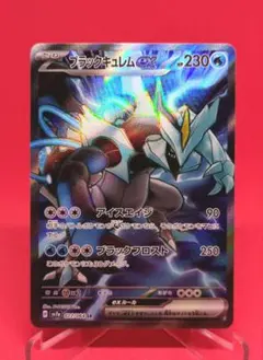 ブラックキュレムex SR SV7a 楽園ドラゴーナ 077/064