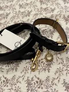 Item thumbnail for item fa66fc64-e196-4f7d-99b9-43d427538476