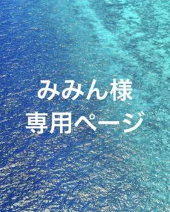 みみん様専用ページ　ウォーター500mL