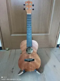 Item thumbnail for item 6806ffd5-983a-4617-b8aa-d1d118977a48