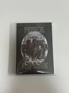 StrayKids FORCE 日本 シーグリ 2026 フリップブック