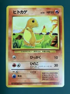 カレーうどん様 リクエスト 2点 まとめ商品