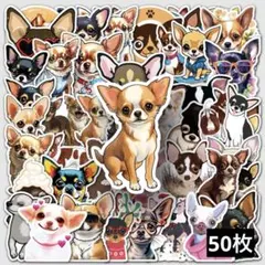 Marumi˚✧₊⁎様 リクエスト 3点 まとめ商品