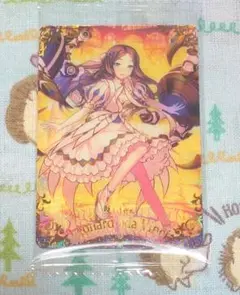 レオナルド・ダ・ヴィンチ （ライダー）　未開封品1枚