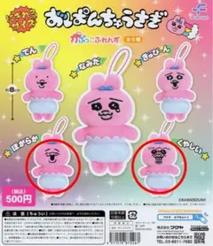 おぱんちゅうさぎ　かぷっこふれんず