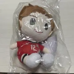 2026年最新】高橋藍 ぬいぐるみの人気アイテム - メルカリ