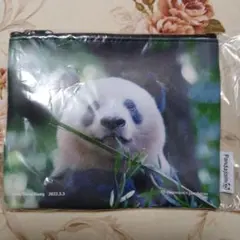 Item thumbnail for item f40cab4d-b519-42a2-bb71-f9619690f57a