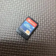 Nintendo Switch ゴーバケーション　ソフト 本体