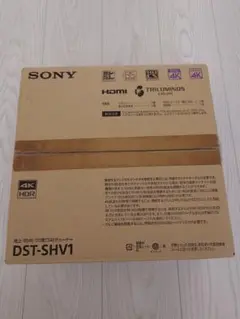 2025年最新】dst-shv1の人気アイテム - メルカリ