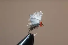 Item thumbnail for item 1926fa2c-1404-466c-a98b-2b14b39af8d3