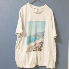 H&M カリフォルニア風景プリント Tシャツ M