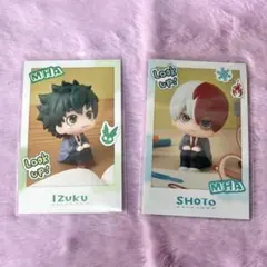 僕のヒーローアカデミア 緑谷出久 轟焦凍