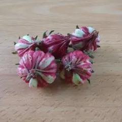 すばる3様 リクエスト 2点 まとめ商品