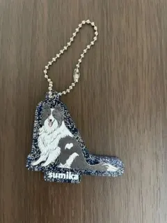 Item thumbnail for item 06bd0077-e8fc-4d15-84c3-4ef0300ec83d