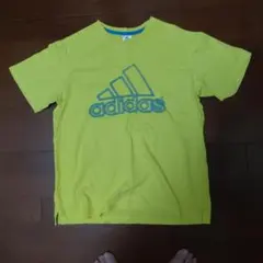 adidas アディダス Tシャツ イエロー
