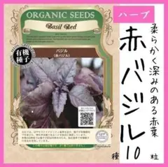 【ハーブの種】香り豊かな赤バジル（Basil Red）種１０粒　有機種子♪